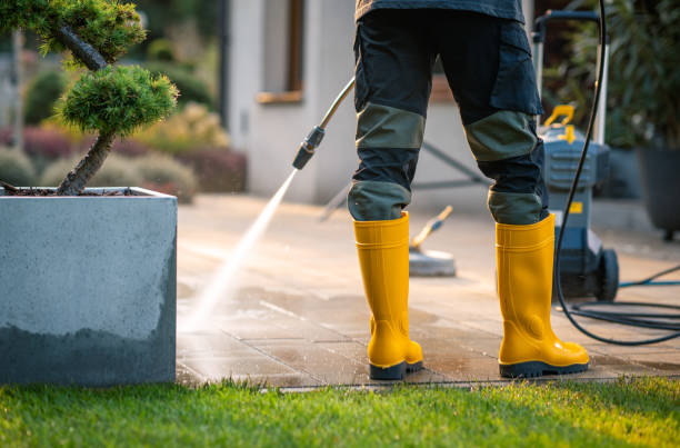 Best Affordable Pressure Washing  in Pickens, MS